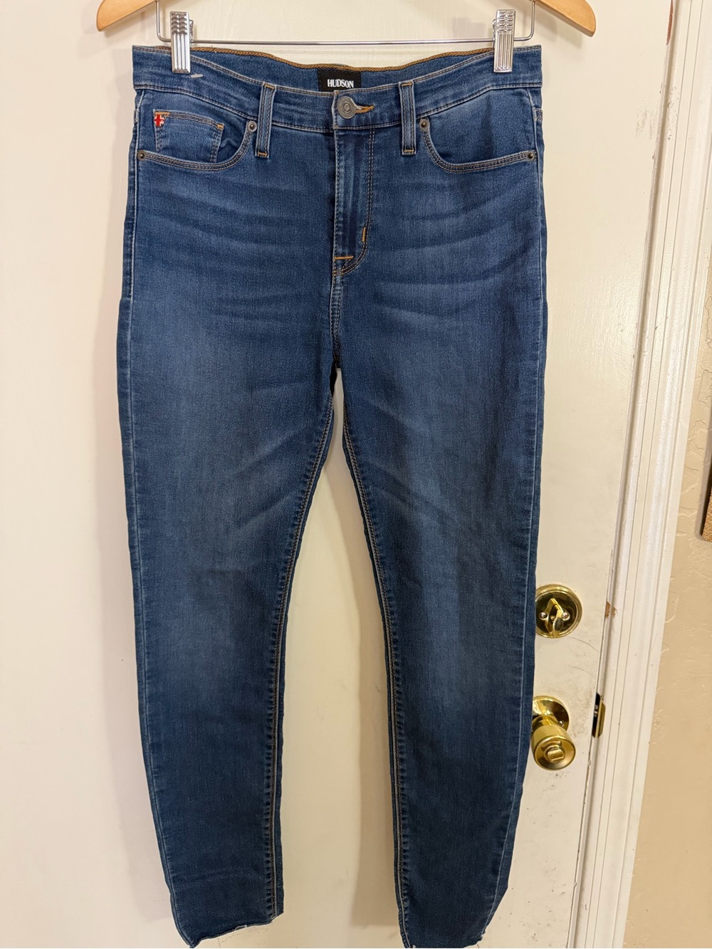 Hudson Dark Wash Skinny Jeans in Blue (212)